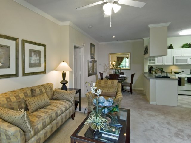 The Edge at Fairfax Corner | Pet Friendly Apartments | Fairfax, VA