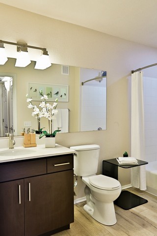 Altera Highland | Pet Friendly Apartments | Phoenix, AZ