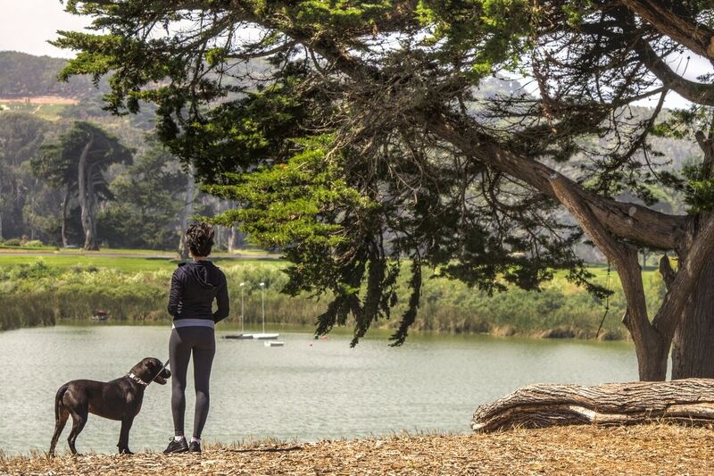 Parkmerced Pet Friendly Apartments San Francisco, CA