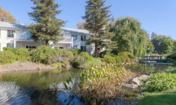 Cotton Wood Pet Friendly Apartments Dublin CA