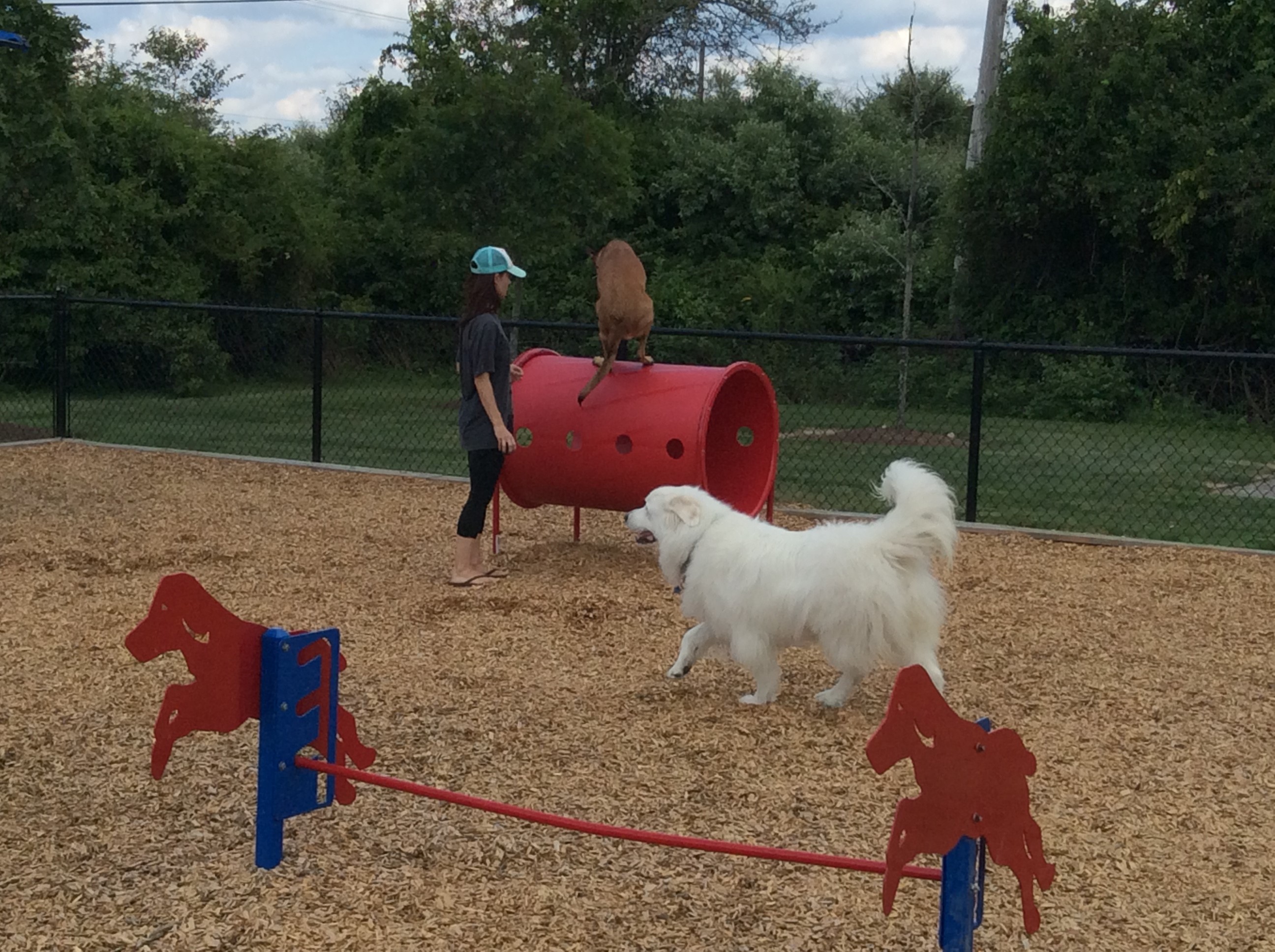 Northgate Pet Friendly Apartments Middletown, RI